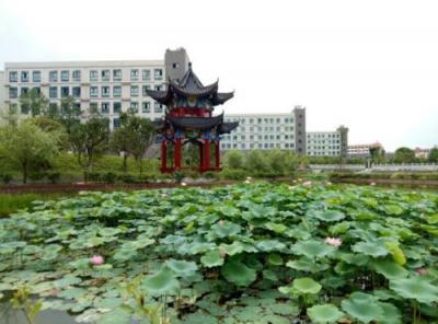 贵州省铜仁市第一中学2020年排名