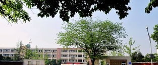 四川省崇州市蜀城中学2020年招生要求、报名条件