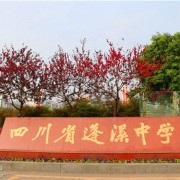 四川省蓬溪中学