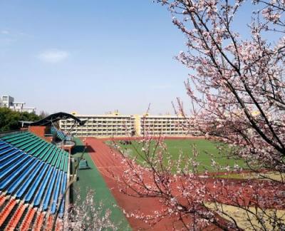 杭州万向职业技术学院五年制大专2020年招生计划