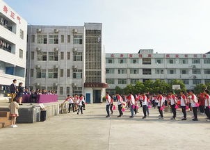 南充市高坪中学2020年招生录取分数线